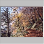 Fife Coastal Path between Burntisland and Aberdour.jpg